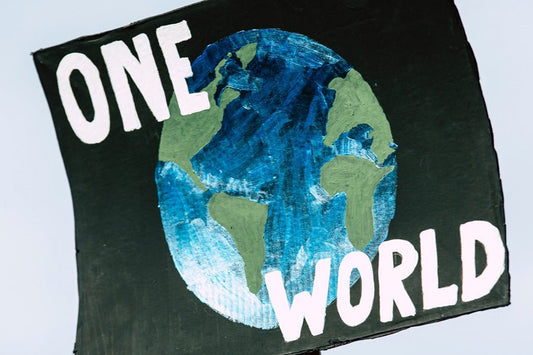 5 consejos para ayudar a combatir el cambio climático - Misswood