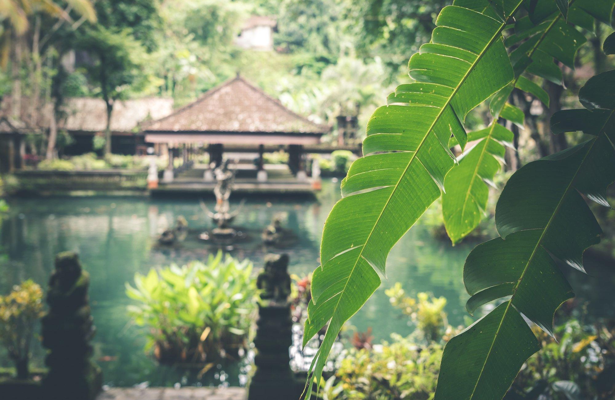Bali, perfecto para todos los viajeros