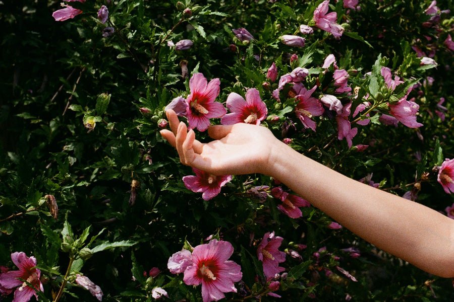 New Fundraising for Breast Cancer research