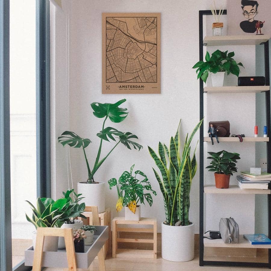 Mapa de corcho - Woody Map Natural Amsterdam - Misswood